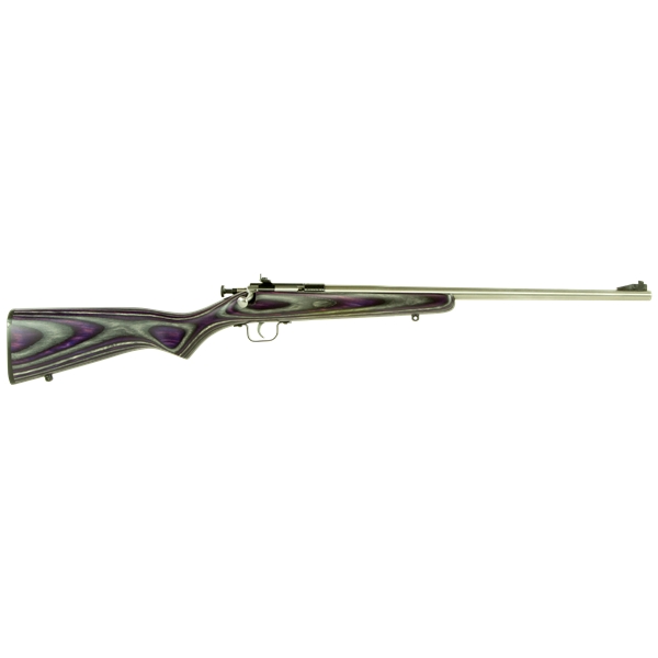 Crickett Rifle G2 .22lr - S/s Purple Laminate