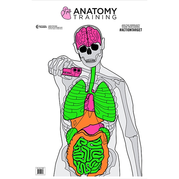 Action Target Inc Anatomy, Action Gsanatomy100     Anatomy             100 Bx