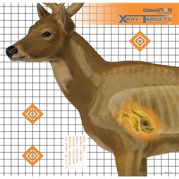 Champion Deer X-ray Target 6/pk